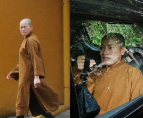 热播短剧穿越后宫假和尚全集完整版在线观看 热播短剧穿越后宫，假和尚全集完整版在线观看--第1张