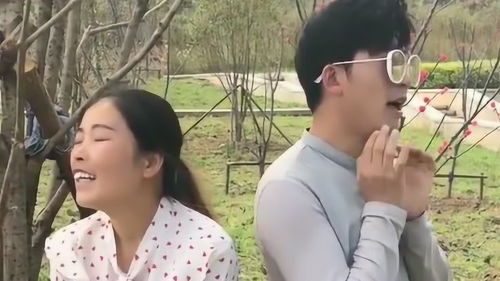 热播短剧相亲开局震惊村花全集完整版在线观看 热播短剧相亲开局震惊村花全集完整版在线观看--第1张