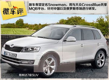 大众skoda是什么车_斯柯达属于什么档次--第1张
