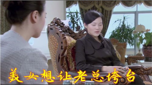 热播短剧战帝的美女总裁老婆全集完整版在线观看 热播短剧战帝的美女总裁老婆全集完整版在线观看--第1张
