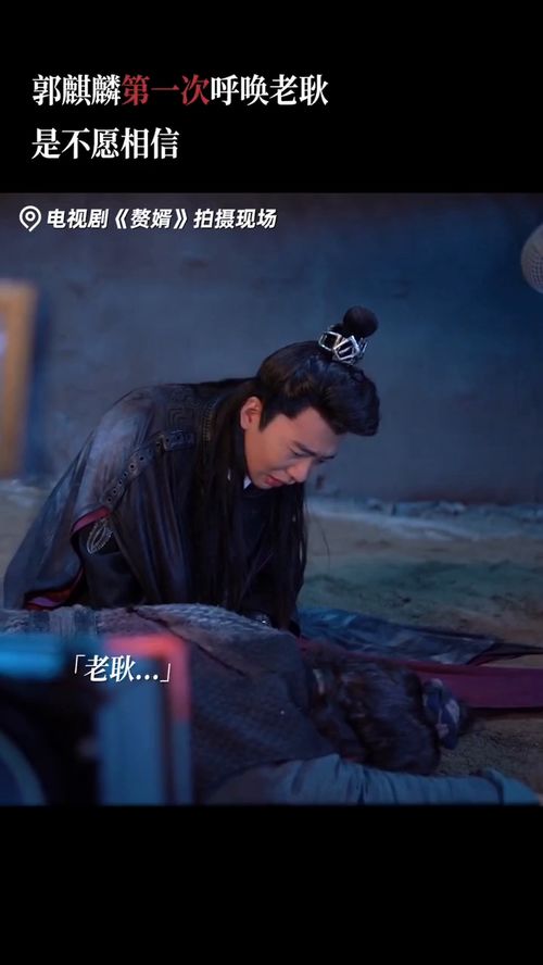 赘婿归来大结局是什么_赘婿归来境界划分--第1张