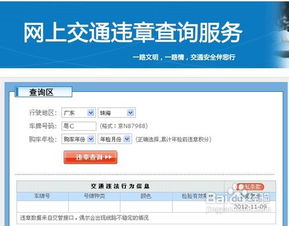 怎样查非本人车辆违章_怎样查非本人车辆违章记录查询--第1张
