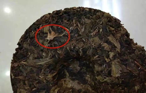 热播短剧你是天堂也是地狱全集完整版在线观看 --第1张