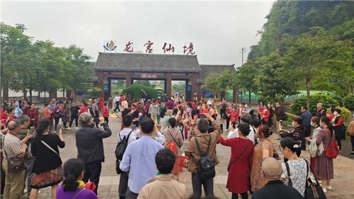 热播短剧绝代玄医离婚后我体内的龙觉醒了全集完整版在线观看 热播短剧绝代玄医离婚后我体内的龙觉醒了全集完整版在线观看--第1张