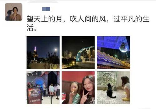 热播短剧昨夜思念如风全集完整版在线观看 热播短剧昨夜思念如风全集完整版在线观看--第1张