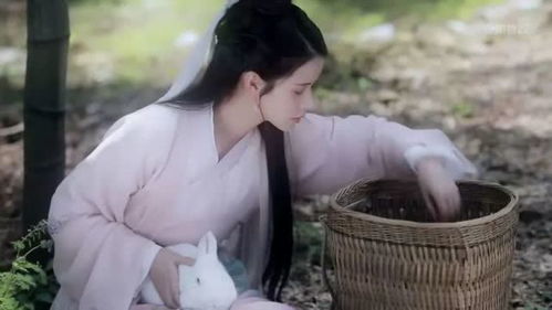 热播短剧侠女不做少奶奶穿越剧全集完整版在线观看 热播短剧侠女不做少奶奶穿越剧全集完整版在线观看--第1张
