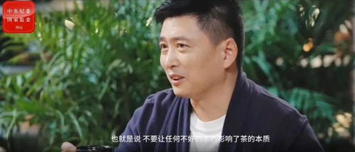 热播短剧丐世无双全集完整版在线观看 热播短剧丐世无双全集完整版在线观看--第1张