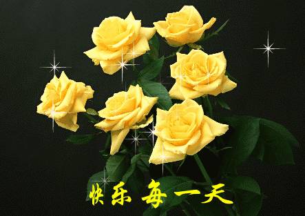 浅蓝色玫瑰花语 浅蓝色玫瑰，花语之谜与情感寄托--第1张