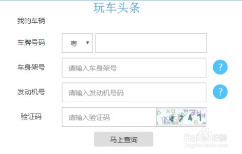 当天违章查询_当天违章查询多久--第1张