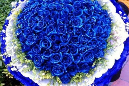 蓝玫瑰花代表什么意思? 蓝玫瑰花代表什么意思--第1张