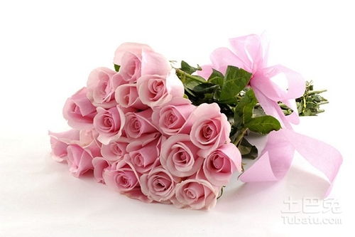 10朵玫瑰花代表什么意思 ，玫瑰花语，10朵玫瑰花代表什么意思--第1张