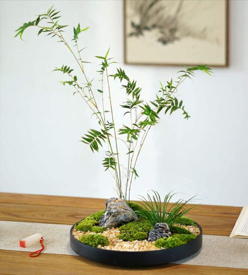 花中四君子竹子算花吗 花中四君子之竹子，一种独特的花卉艺术--第1张