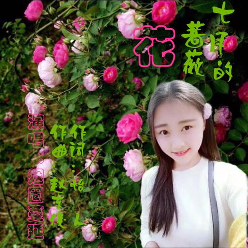 蔷薇 蔷薇之歌，生命之花--第1张