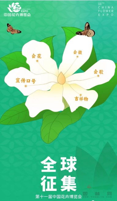 中国花卉博览会吉祥物 中国花卉博览会吉祥物——花博小精灵--第1张