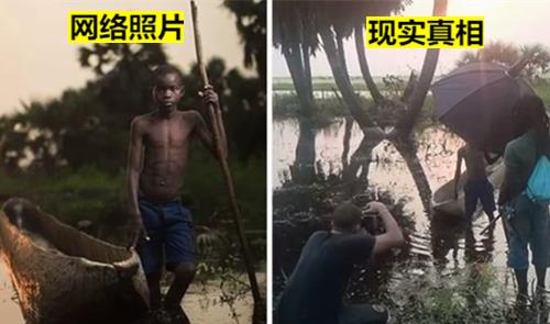 月桂叶图片 月桂叶图片，自然之美与独特魅力的完美结合--第1张