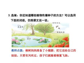 二年级语文上册植物妈妈有办法 二年级语文上册植物妈妈有办法--第1张