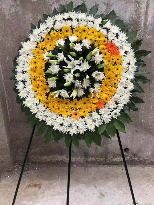 祭奠老人的鲜花 祭奠老人的鲜花，一份无言的敬意与关爱--第1张