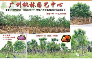 怎么才能加入苗木求购群 怎么才能加入苗木求购群--第1张