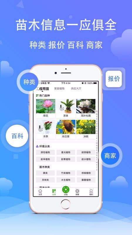 今日苗木网app 今日苗木网app，一站式苗木采购的便捷助手--第1张
