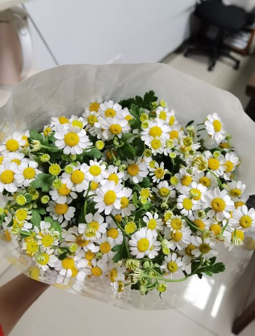 花易宝鲜花批发 花易宝鲜花批发，一站式鲜花批发解决方案--第1张