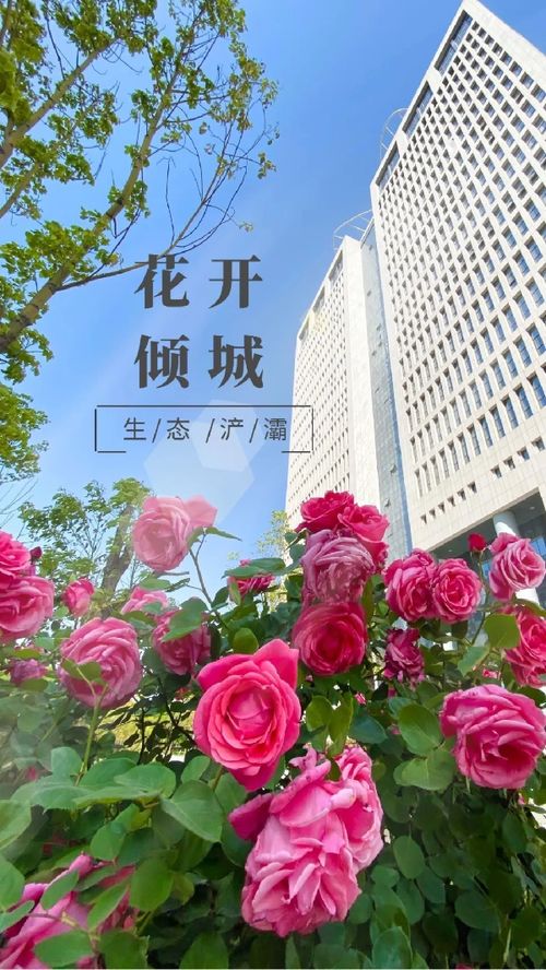 花醉美鲜花进货平台 花醉美鲜花进货平台，一站式鲜花采购，让您的生意更美！--第1张