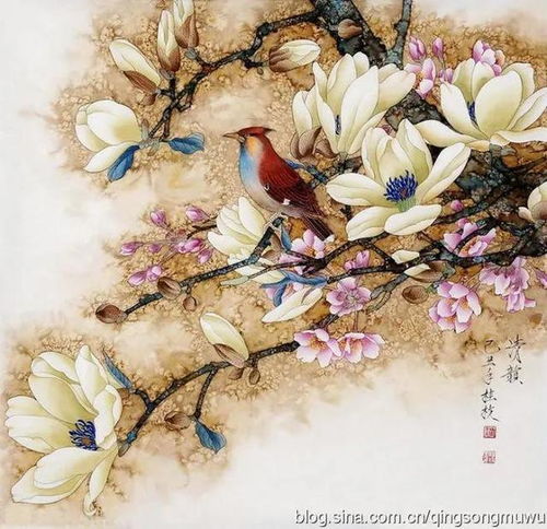 玉兰花吉利吗 玉兰花吉利吗--第1张
