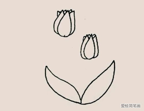 郁金香简笔画 郁金香简笔画--第1张