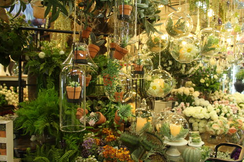 新乡鲜花店电话 新乡鲜花店电话——让您的生活充满花香--第1张