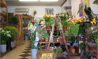 花店装修 花店装修--第1张