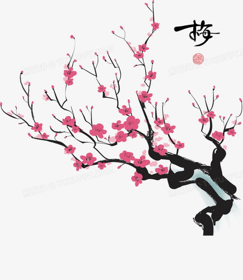 梅花 梅花--第1张