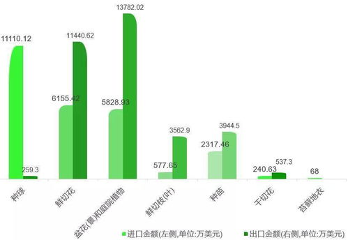 中国花卉产业发展现状 中国花卉产业发展现状--第1张