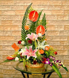 附近花卉市场批发市场在哪里 附近花卉市场批发市场在哪里--第1张