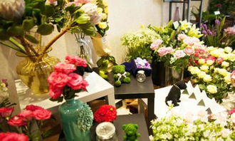 鲜花名称大全大图 鲜花名称大全大图--第1张