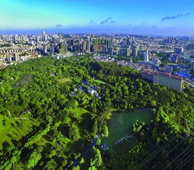 中国苗木网价格 中国苗木网价格，市场动态与未来趋势--第1张