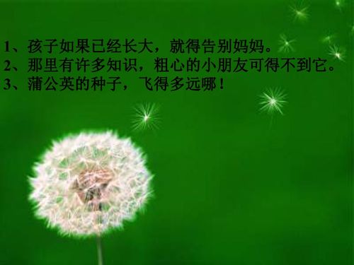植物妈妈有办法 植物妈妈有办法--第1张
