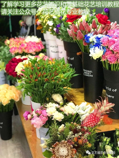 开花店需要准备些什么东西 开花店需要准备些什么东西--第1张