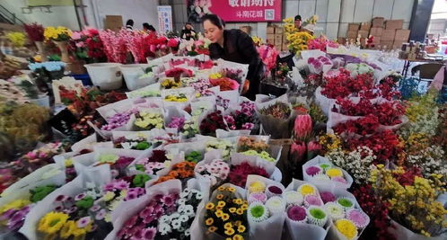 深圳鲜花批发市场在哪里 深圳鲜花批发市场在哪里--第1张