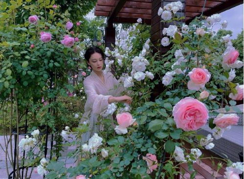 送给妈妈的花图片 送给妈妈的花图片--第1张