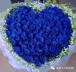 蓝色妖姬烟花 蓝色妖姬烟花--第1张