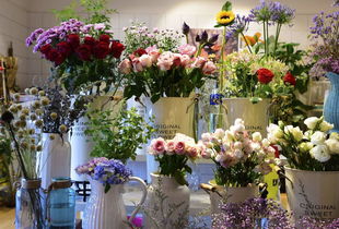 来宾花店 来宾花店，鲜花的魅力与品质的保证--第1张