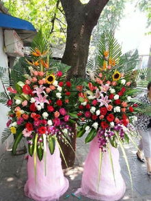 附近开业花篮店在哪里 附近开业花篮店在哪里--第1张
