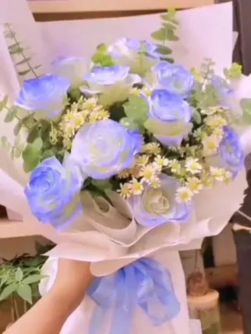 11朵碎冰蓝花语 碎冰蓝之花，11朵花的独特花语--第1张
