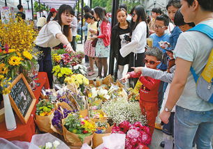 南宁鲜花市场在哪个位置 南宁鲜花市场在哪个位置--第1张
