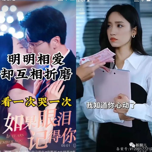 热播短剧爱在离婚后在线免费观看全集 爱在离婚后，一部热播短剧在线免费观看全集--第1张