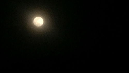 热播短剧月有阴晴圆缺在线免费观看全集 热播短剧月有阴晴圆缺在线免费观看全集--第1张