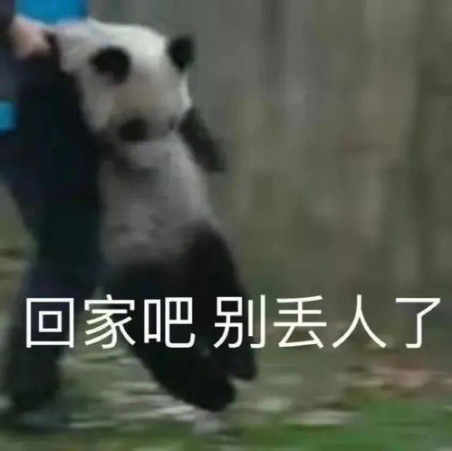  热播短剧成女王后我疯狂斩渣男在线免费观看全集，女王后我疯狂斩渣男，全集免费观看--第1张