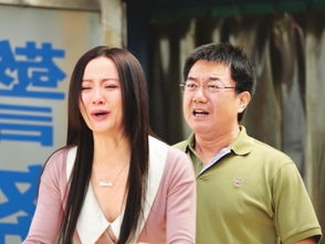  热播短剧失孤之宝贝回家在线免费观看全集，失孤之宝贝回家，全集在线免费观看--第1张