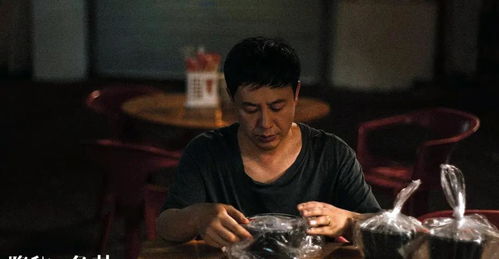  热播短剧隐龙记曹毅在线免费观看全集--第1张