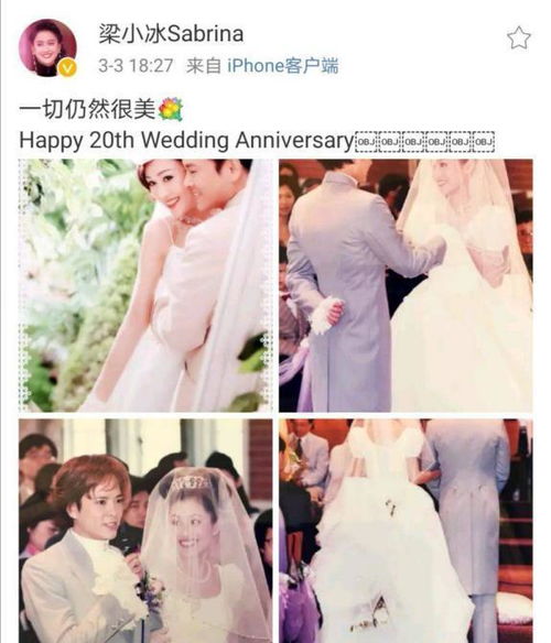  热播短剧悔婚后我变成陆总的心尖宠在线免费观看全集，陆总的心尖宠，悔婚后的我--第1张