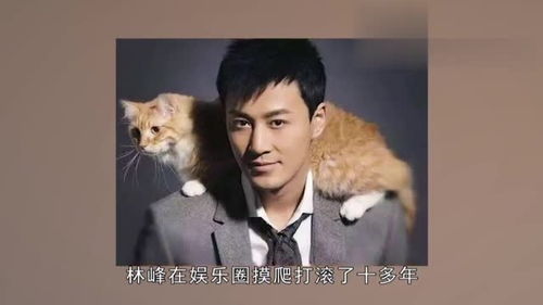  热播短剧不谈恋爱回家继承亿万家产在线免费观看全集，回家继承亿万家产免费在线观看--第1张